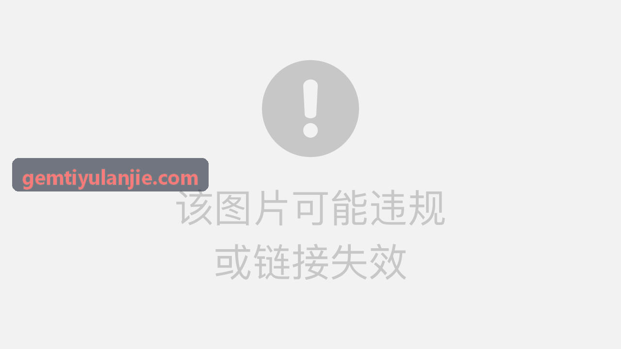 GEMTIYU-运动员自评移动端